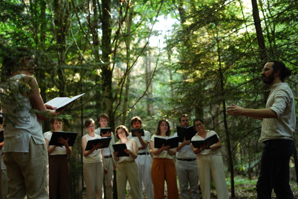 Musikalischer Waldspaziergang im Sommer 2026